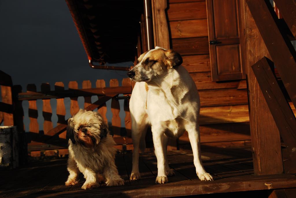 Dwor Labedzie W Kiermusach Kiermusy Exteriér fotografie